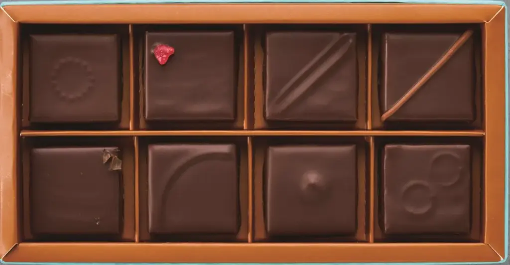 ＜ロディックチョコレート＞ボンボンショコラ8個入り