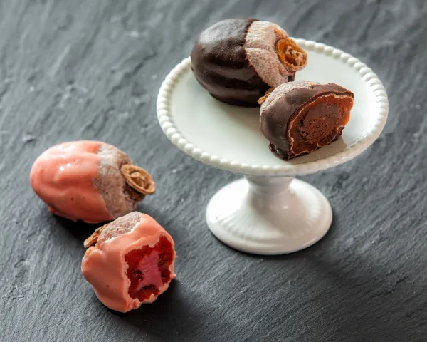 ＜信州 里の菓工房＞フリュイショコラ市田柿 アソート